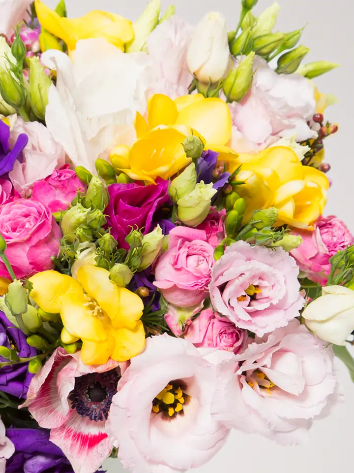 Bouquet fiori misti colorati macro